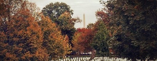 Top Things to Do in Washington DC