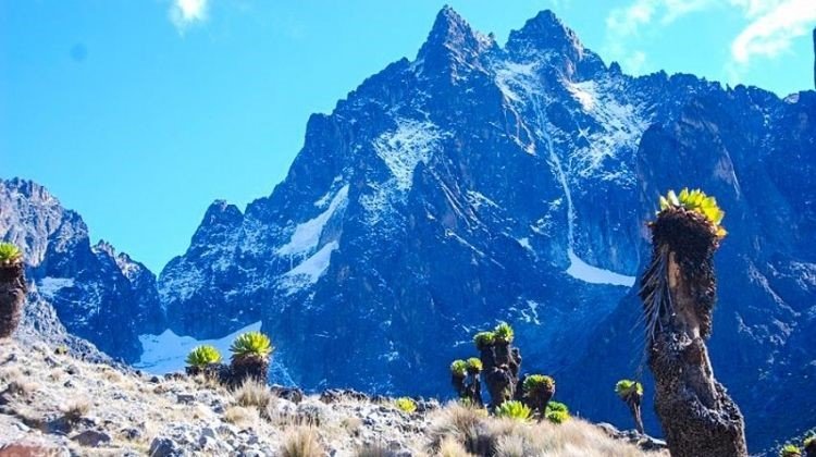 Mt. Kenya 