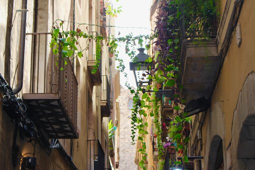 A culinary day in Barcelona