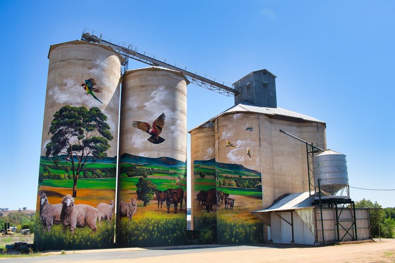 The colours are amazing in this silo art in Grenfell