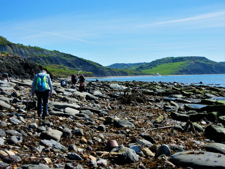 Hunting for Fossils