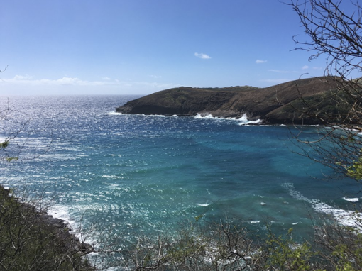 The Best of Oahu