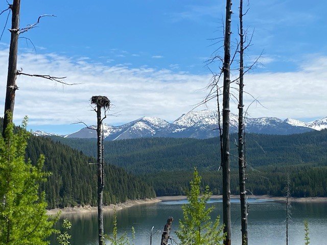 Eagles Nest - Glacier National Park