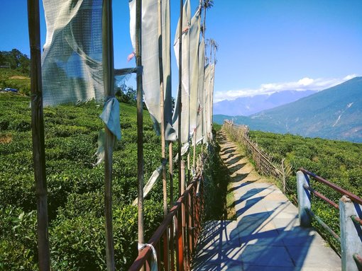 Exploring the Paradise- "Sikkim"