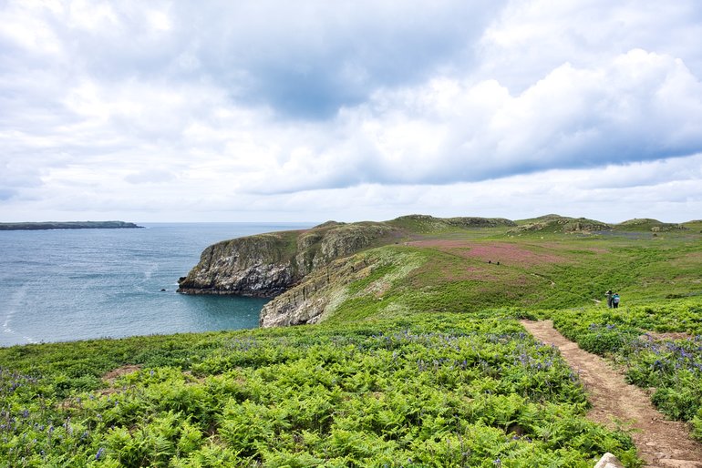 The path is good along the top of the island, just make sure you stick to it and don't wander off destroying burrows