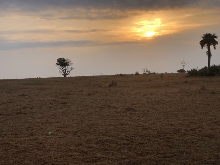 Savanna Plains of Uganda