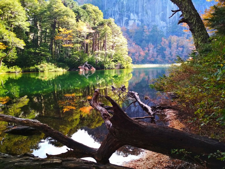 Huerquehue National Park