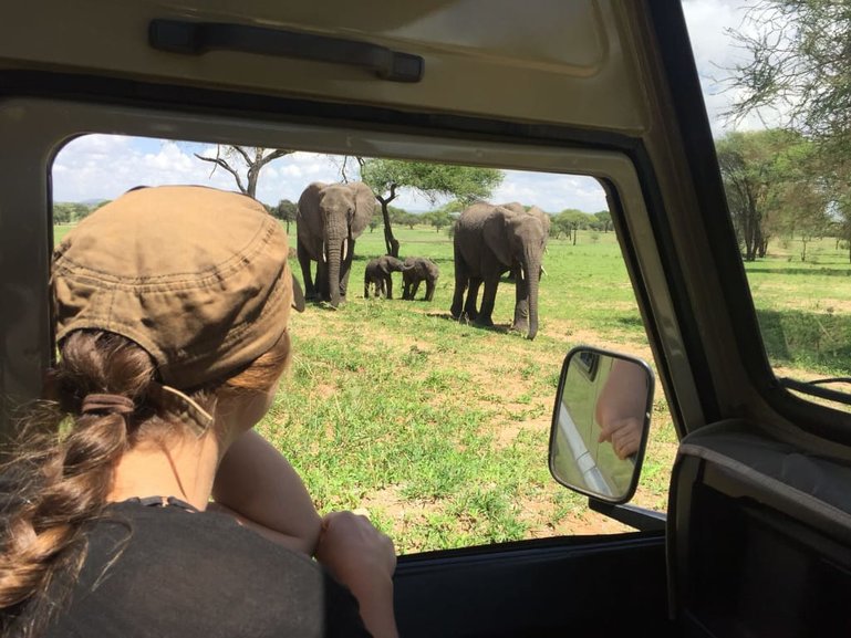 Tanzania wildlife Safari