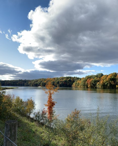 A view from Brower Park along the Dragon Trail