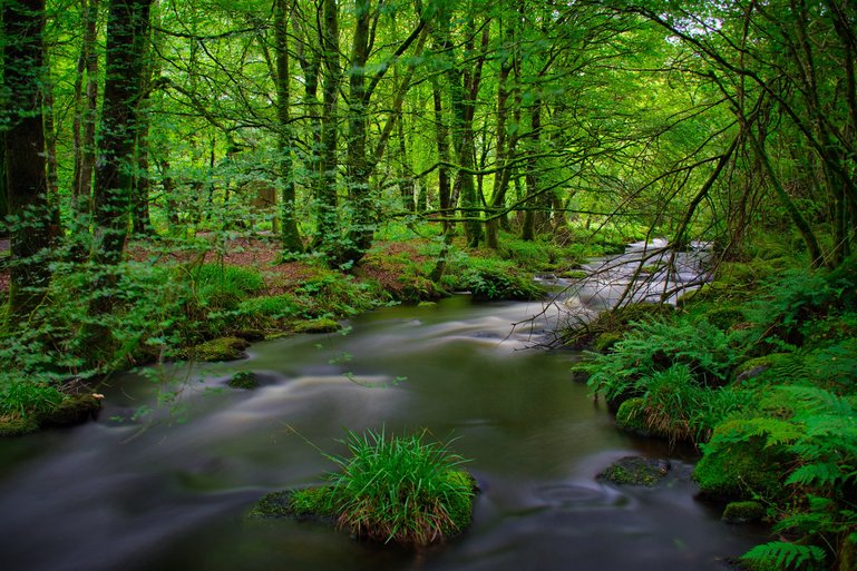 Many little streams break off and rejoin the main river