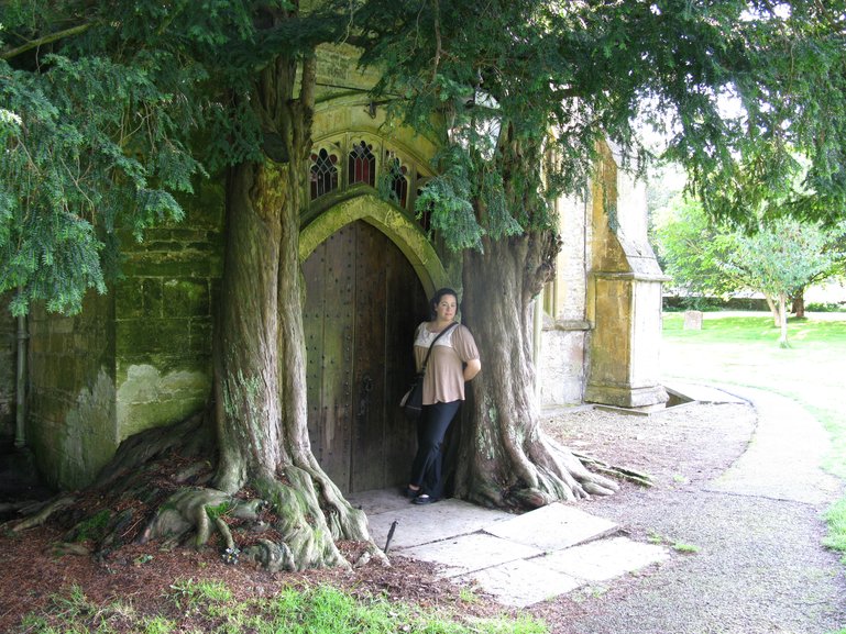Inspirational Trees (Lord of the Rings) in Stow-on-the-Wold