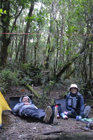 Tropical Rain Forest Mount Gede Pangrango Bogor West Of Java