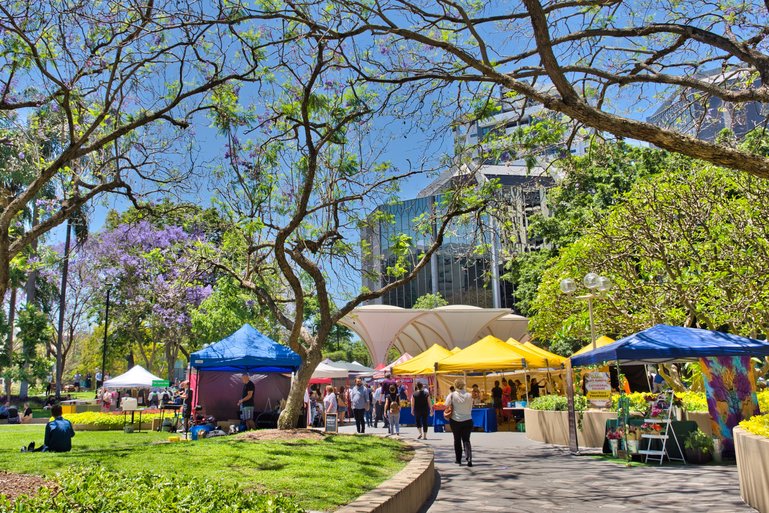 Brisbane City Markets on Thursday are held under the trees of Cathedral Square