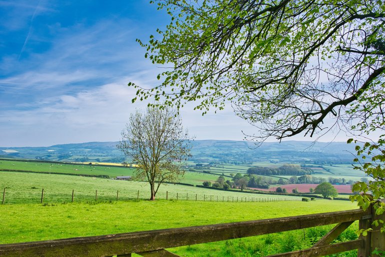 The countryside around Somerset, with farmland just off the main roads