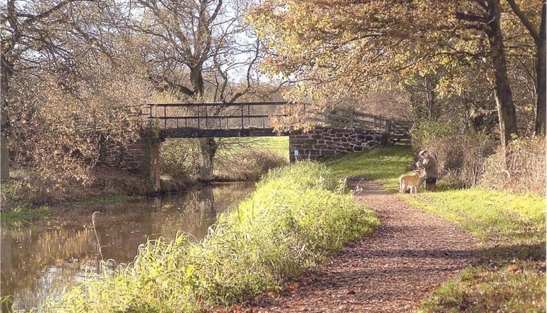 Grand Western Canal, Tiverton