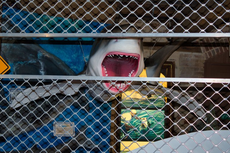 Imagine being in this cage and seeing these teeth coming towards you