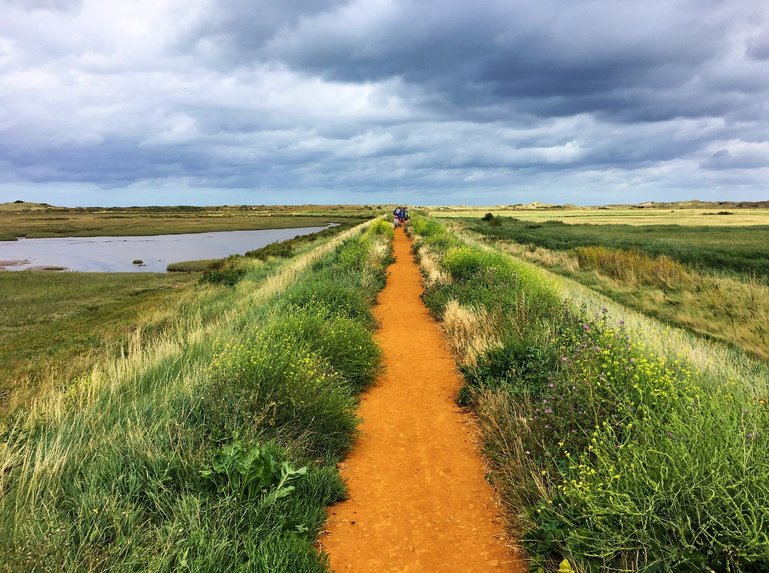 The Salt Marshes