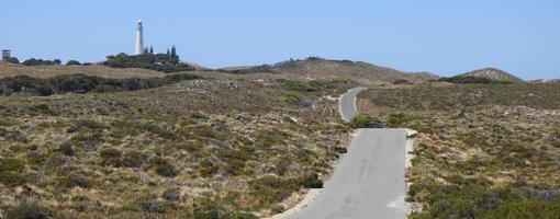 Top 10 Things to See & Do at Rottnest Island, Western Australia