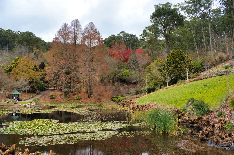 Views back up toward the upper car park still have autumn colours in the trees