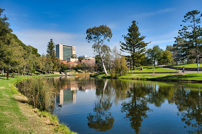 Walking paths lead you back into the city centre alongside the River Torrens
