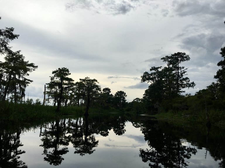 Cane Bayou