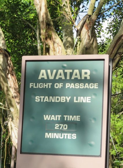 Avatar wait time