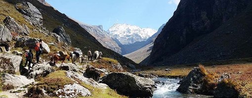 Hampta Pass Trek Overview