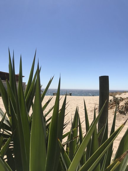 Caparica's stretched beaches