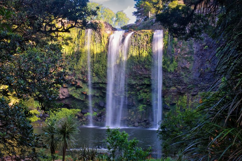 Whangarei Falls, framed in the bush.