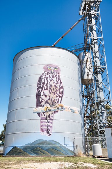 The Barking Owl on this silo in the daylight. 