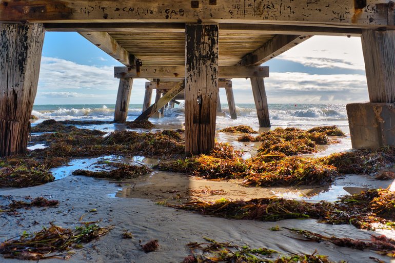 Under the Normanville Jetty at low tide