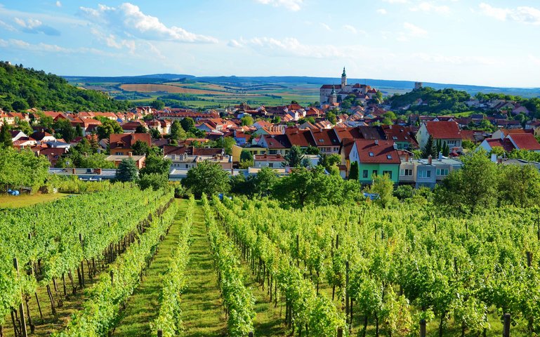 Mikulov wine region with scenic Mikulov castle