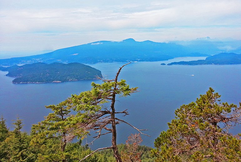 View from Mount Gardner