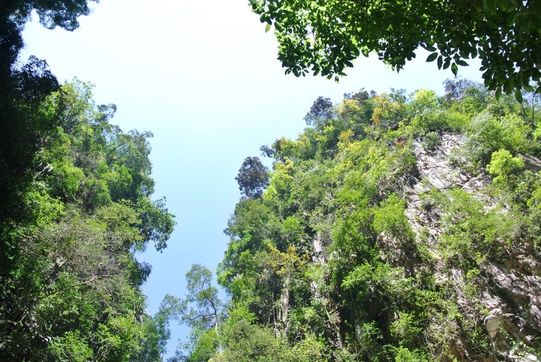 Lush greenery covers the limestone hills of Ipoh