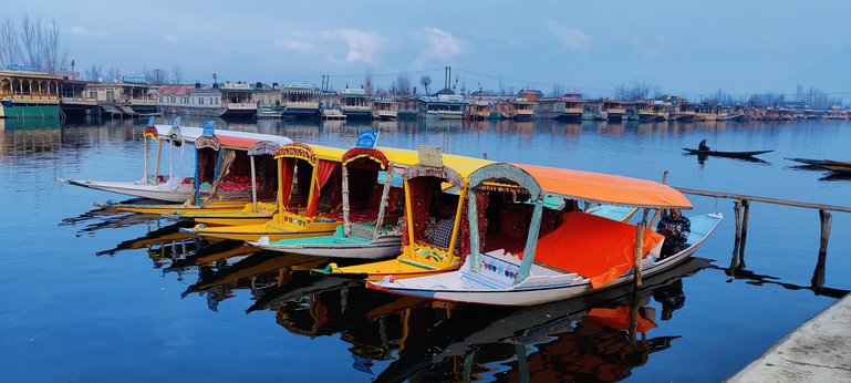 Shikara Rides in Dal Lake,Srinagar