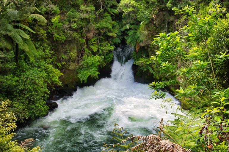 Tutea Falls is the highest commercially rafted waterfall in the world.