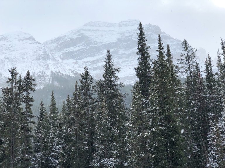 Beautiful Canadian Rockies