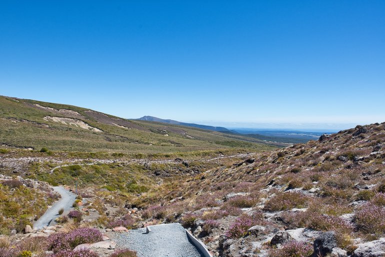 The longest steep part of this track is from the top of Taranaki Falls