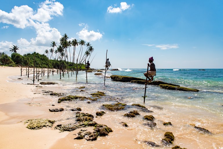 Traditional Stilt Fisherman of Galle