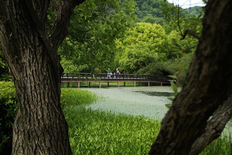 Park and waterways of Baguadian