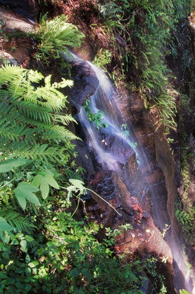 Witches Falls during the drought didn't have much water falling over the edge