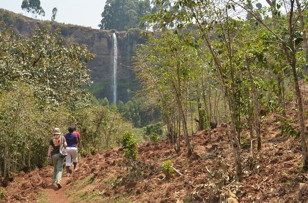 Hiking through coffee plantations and gardens