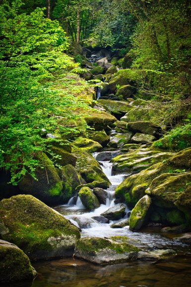 One of the many cascades flowing down the river