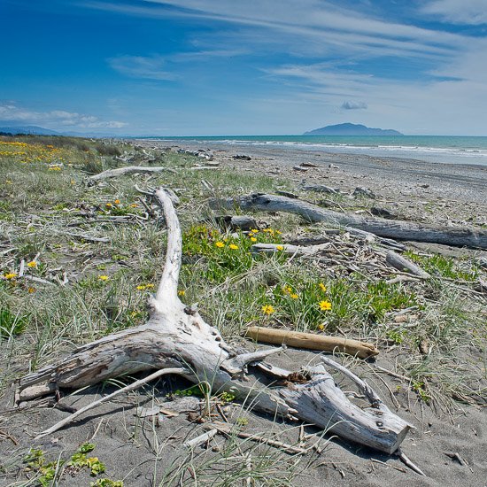 Otaki Beach, Kapiti Coast