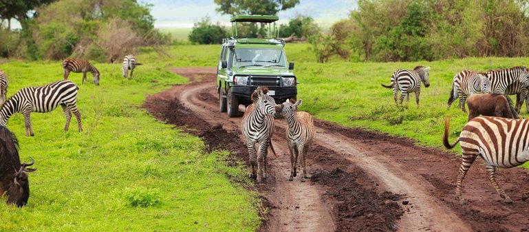 Ngorongoro Crater