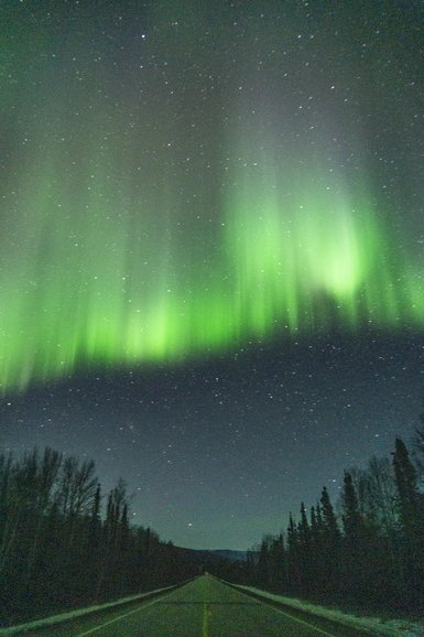 Aurora borealis dancing above the Steese Highway