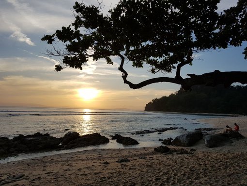 Night Kayaking Experience in Andaman Islands of India