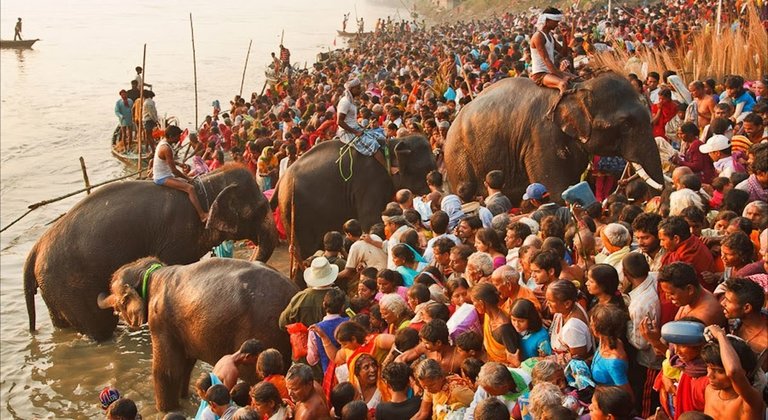 Sonpur Mela, also known as the Sonepur Cattle Fair