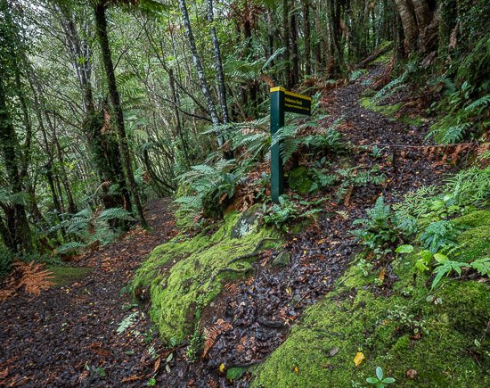 Tararua Forest Park