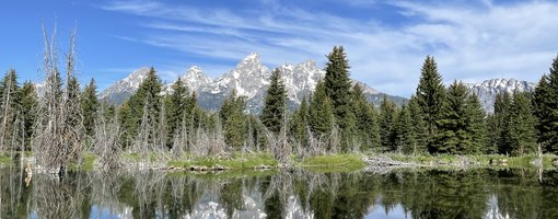 How to See Spectacular Grand Teton NPS in a Day
